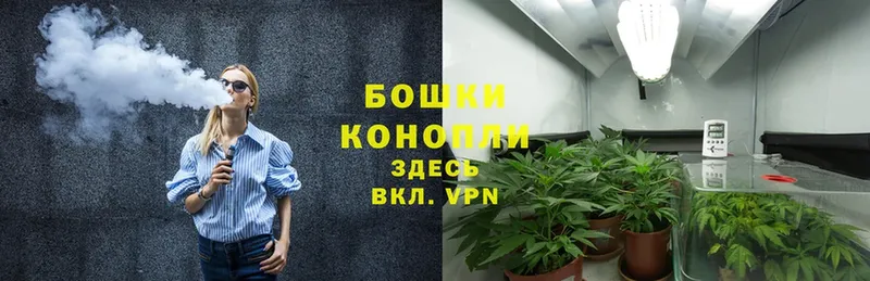 Шишки марихуана OG Kush  наркотики  Севастополь 